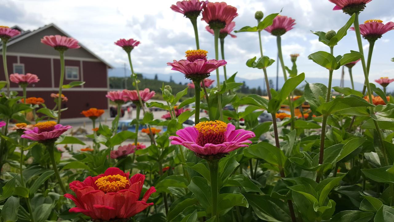 Hillcrest Farm Market B&B Kelowna Eksteriør bilde